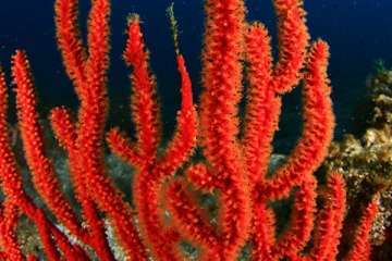 Foto de Tanausú Motas García y Yolanda García.